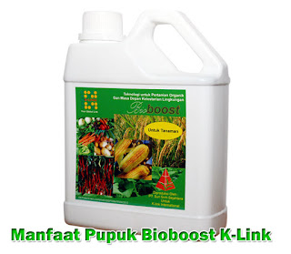  dalam meningkatkan mutu pertanian dan perkebunan memang tidak diragukan lagi Manfaat Pupuk Bioboots K-Link Untuk Pertanian dan Perkebunan